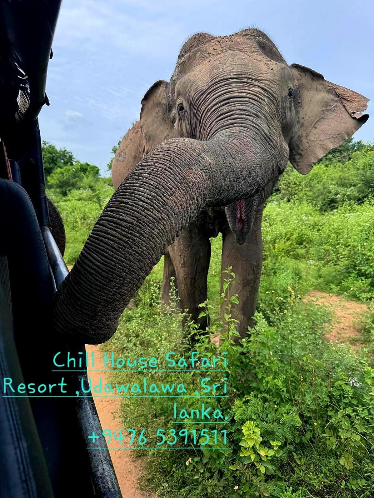 Chill House Safari Resort Удавалаве Экстерьер фото